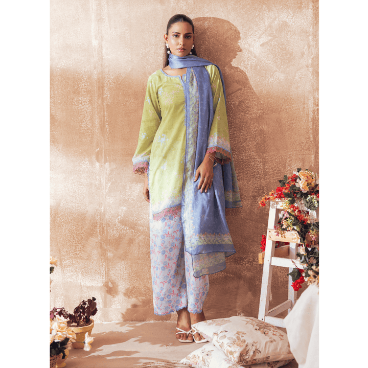 Butterfly Green - MASHRA