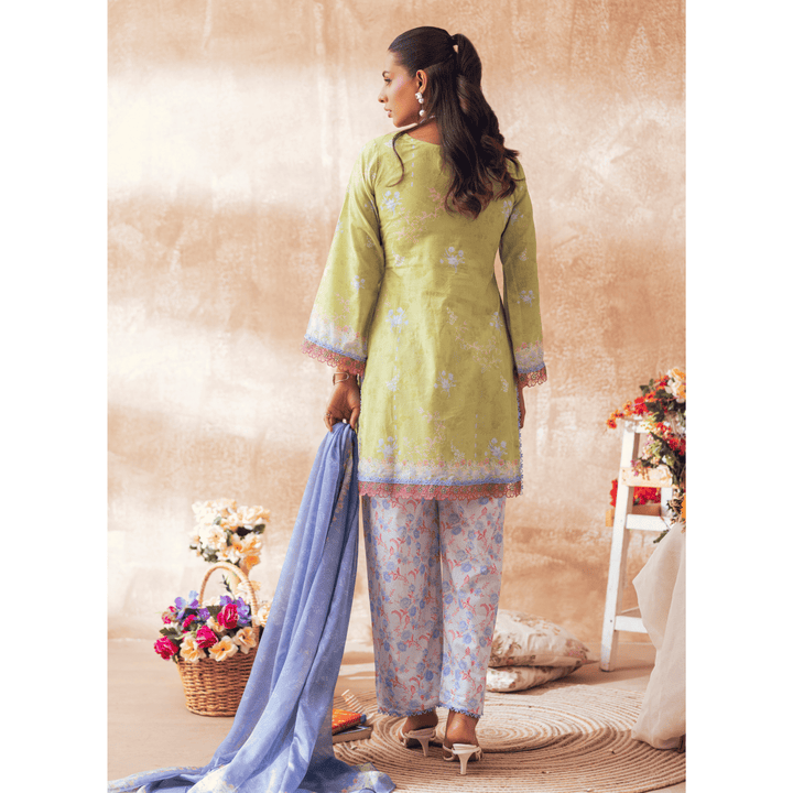 Butterfly Green - MASHRA