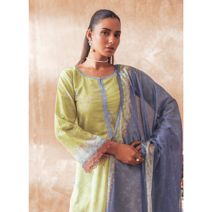 Butterfly Green - MASHRA