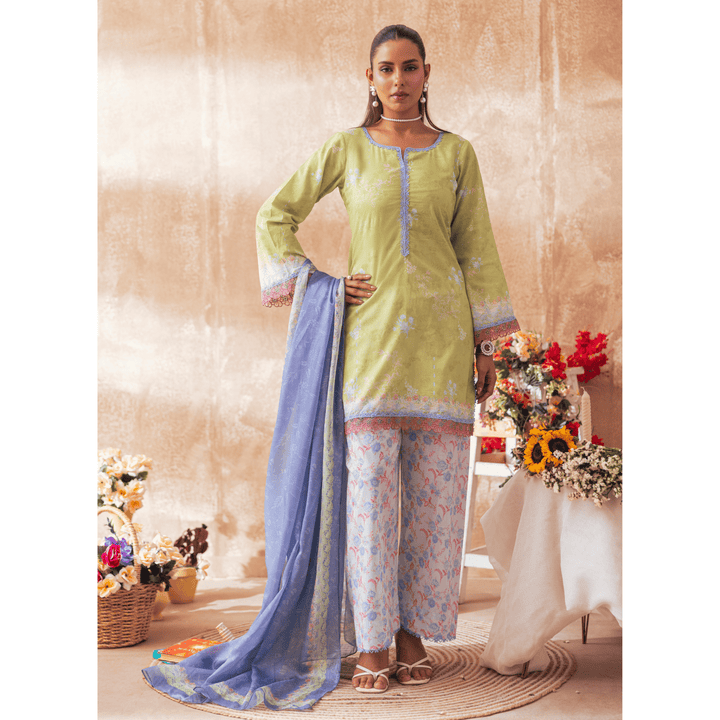 Butterfly Green - MASHRA